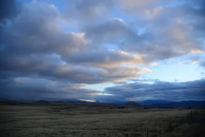 DSC_2961 (Large).JPG